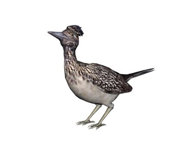 # Çalım atarız etrafta, yemek ararız #