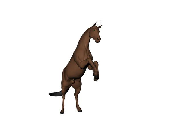 Stallion Pasture Jumps — Stock Photo, Image