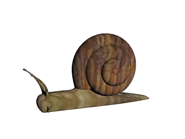 Ślimak Czołgający Się Obudową — Zdjęcie stockowe