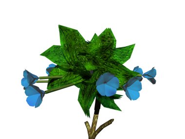 Bitki yaprakları ve çiçeklerle doludur.