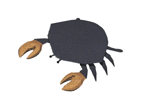 Beach Crab Big Scissors — Stock Photo, Image