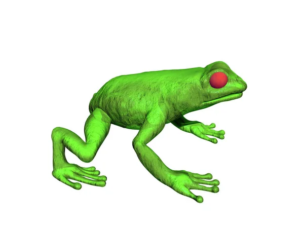 Grüner Laubfrosch Mit Roten Augen — Stockfoto