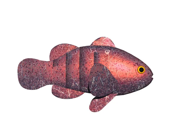 Золотая Рыбка Плавниками Плавает Воде — стоковое фото