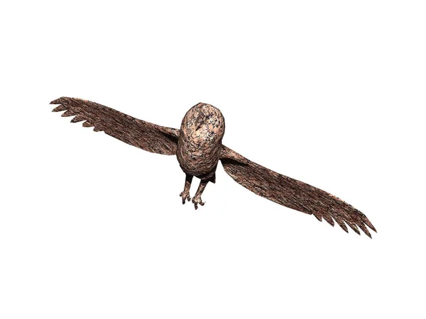 Hibou Aux Ailes Déployées Dans Air — Photo