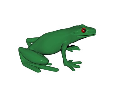 Kırmızı gözlü yeşil ağaç kurbağası