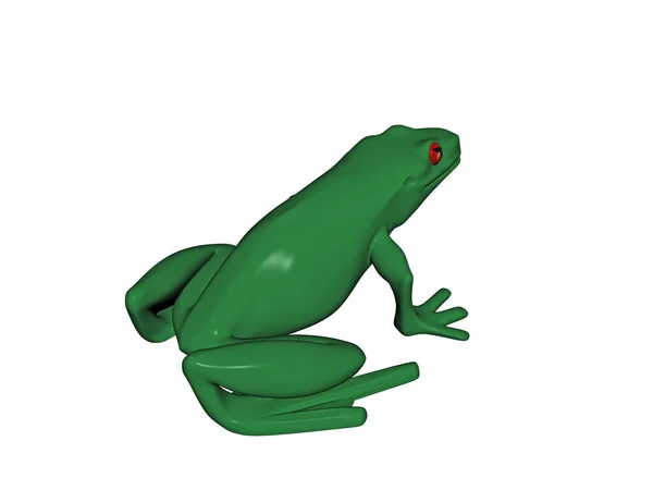 Grüner Laubfrosch Mit Roten Augen — Stockfoto