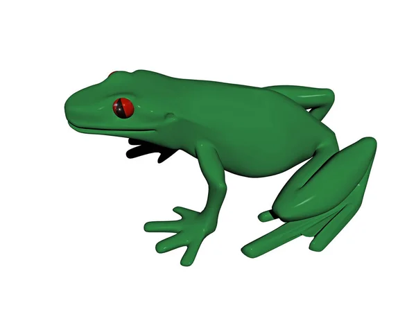 Kırmızı Gözlü Yeşil Ağaç Kurbağası — Stok fotoğraf