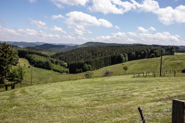 Yazın çayırları ve ormanları olan Rothaar Dağları