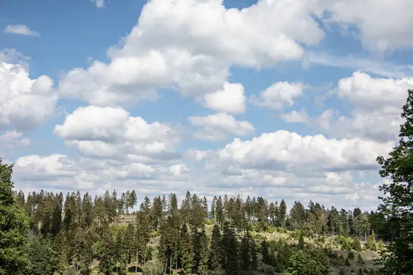 Гори Ротаар Луками Лісами Влітку — стокове фото