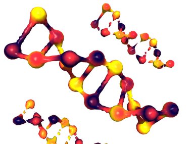 Genetik materyalin taşıyıcısı olarak DNA çift sarmal