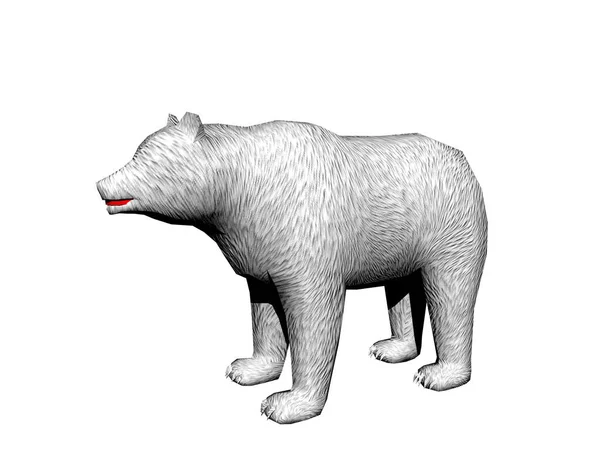 Oso Polar Hambriento Ártico — Foto de Stock