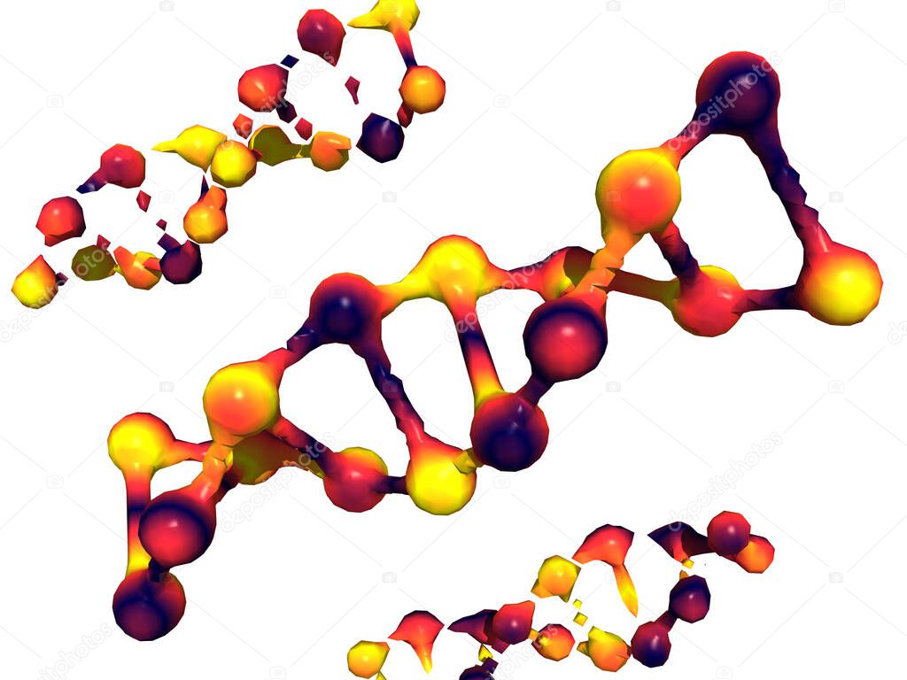 DNA double helix as carrier of the genetic material