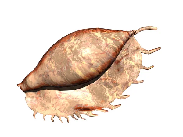 커다랗게 빛나는 달팽이 — 스톡 사진