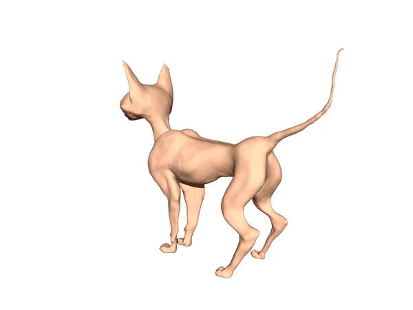 長い耳を持つ裸のスキニー漫画猫 — ストック写真