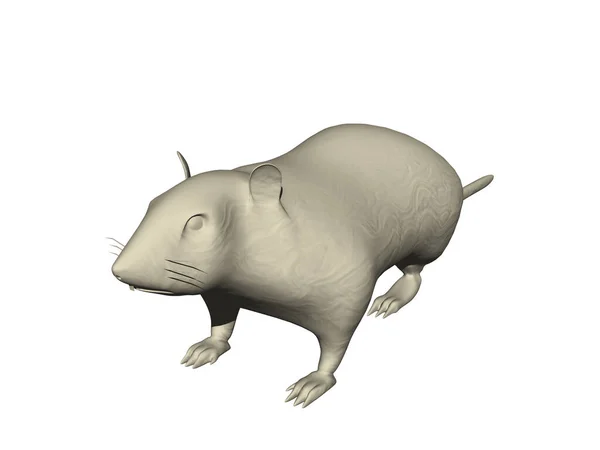 White Laboratory Rat Long Tail — Stock Photo, Image