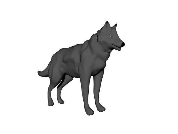 Επικίνδυνος Λύκος Σκούρα Γούνα — Φωτογραφία Αρχείου