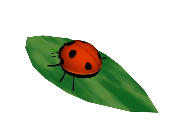 Red Seven Point Ladybug Green Leaf — Stock Photo, Image