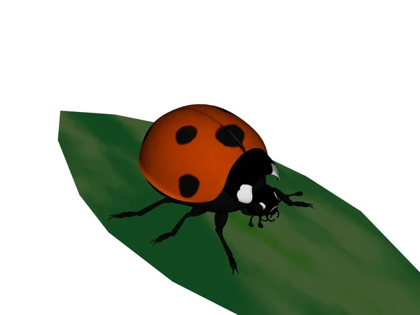 Coccinella Rossa Sette Punti Foglia Verde — Foto Stock