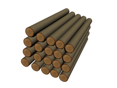 Ağaç gövdeleri kurusun diye ormanın kenarına yığılmış.