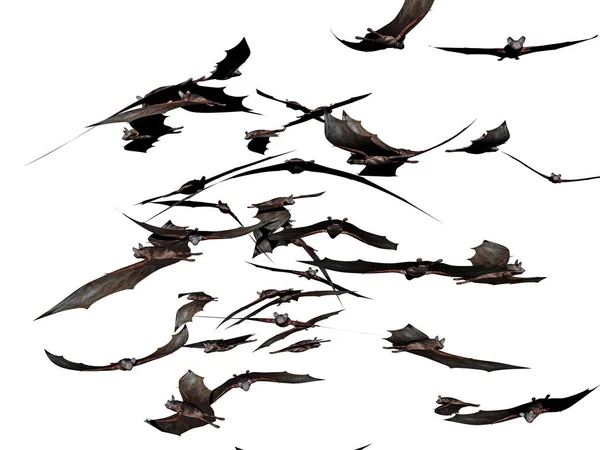 Bats Flutter Sky — Stock Photo, Image