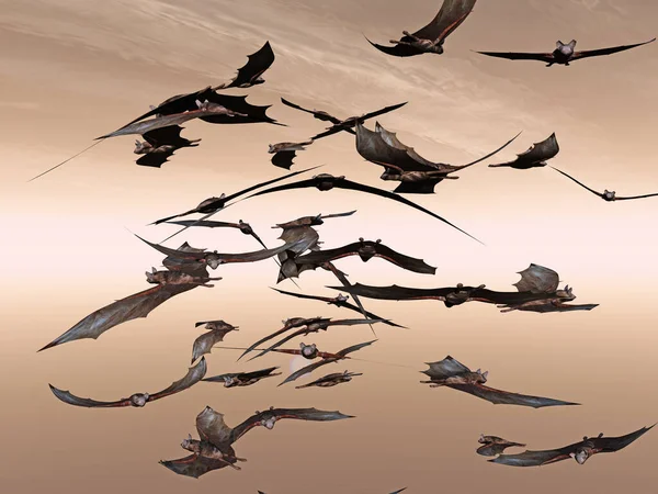 空を飛ぶコウモリ — ストック写真