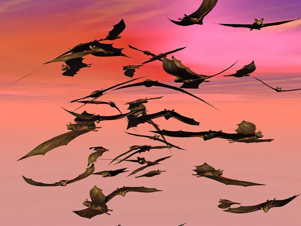 Vleermuizen Fladderen Lucht — Stockfoto