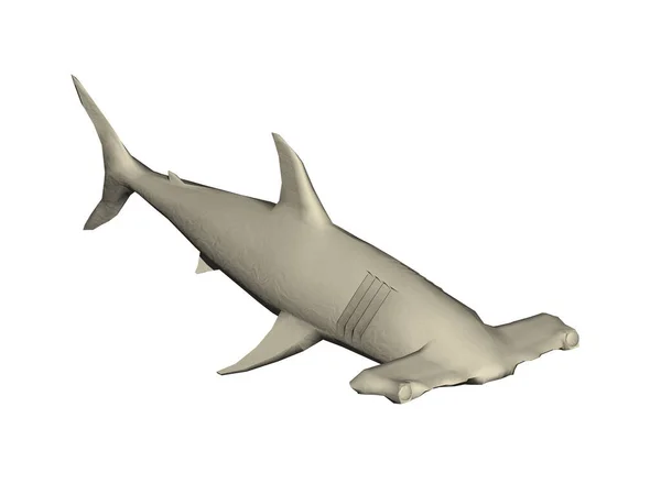 Great Hammerhead Shark Swims Sea — Stock Photo, Image