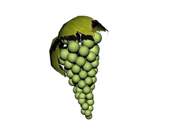 Сочный Виноград Виноградная Лоза Листьями — стоковое фото