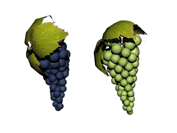 Sappige Druiven Als Wijnstok Met Bladeren — Stockfoto
