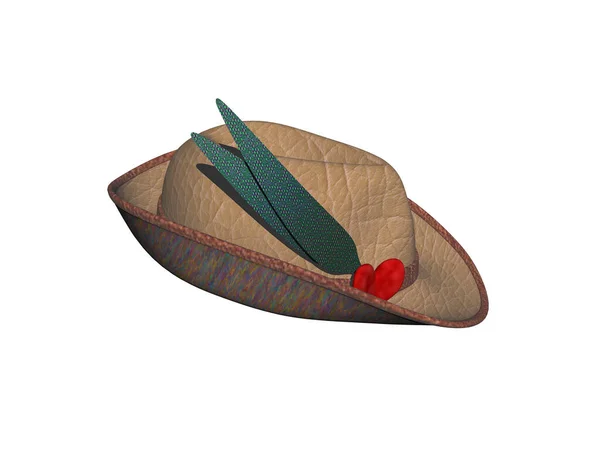 Brown Felt Hat Brim Feather — Stock Photo, Image