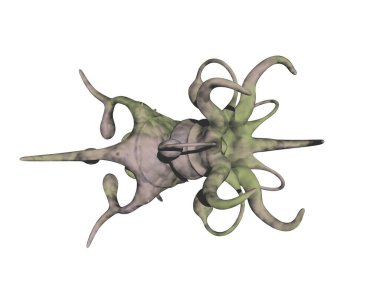 Devamlılığı olan tuhaf bir patojen.