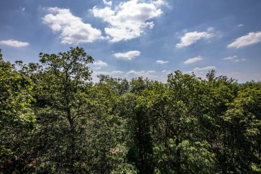 Siegerland 'ın geniş manzarası yeşil bir akciğer gibi.