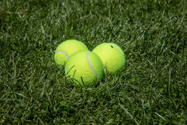 Три Желтых Теннисных Мяча Лежат Траве Травы — стоковое фото