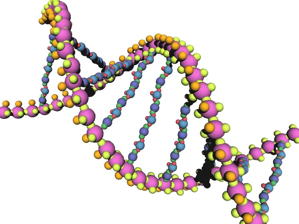 Dna Strängar Genetiskt Material Förvrängda Till Dubbel Spiral — Stockfoto