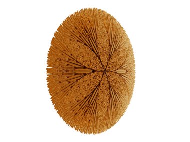 yuvarlak yoğunlaştırılmış diskler