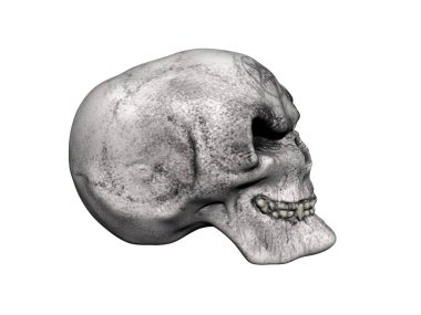 Çenesi olan eski kemikli ölü kafatası.