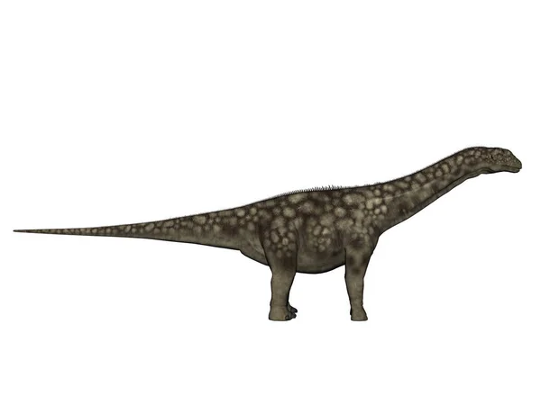 Velké Těžké Býložravé Brontosaury Pravěku — Stock fotografie