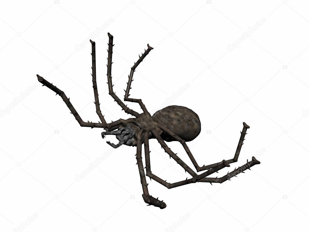 black scary spider with many legs