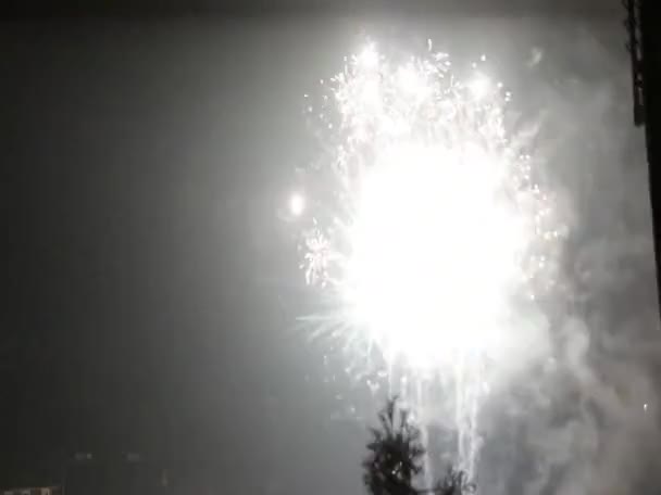 Fuegos Artificiales Año Nuevo Con Rastros Luz Cielo Nocturno — Vídeo de stock