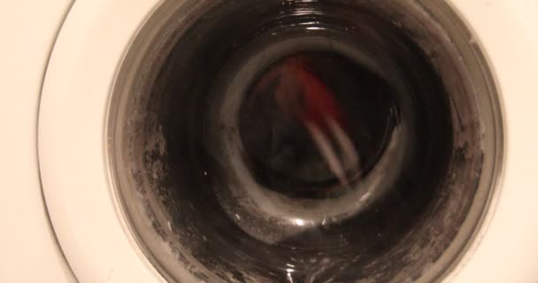 Çamaşır Makinesi Çamaşır Makinesinin Çamaşır Makinesinin Önünde Çamaşır Yıkama Çözeltisi — Stok video