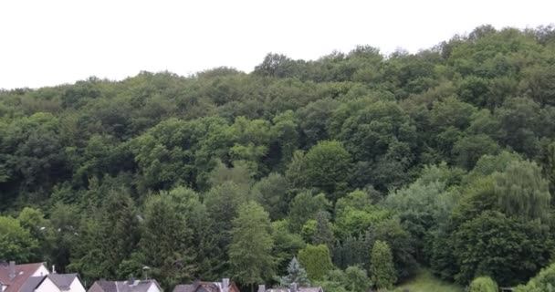 Large Green Dense Forest Mountain Slope Summer Sky — Stock Video