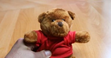 Kırmızı tişörtlü kahverengi ayıcık kameranın önünde hareket ediyor. 