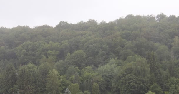 Bicze Deszczowe Nad Lasem Zboczu — Wideo stockowe