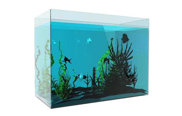 Aquarium Fish Aquatic Plants — Stock Photo, Image