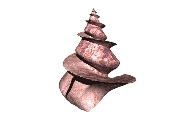 Pedra Modelado Espiral Caracol Shell — Fotografia de Stock