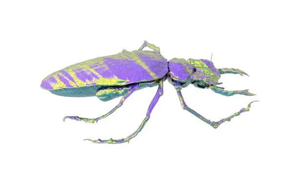 Boynuzlu Büyük Bir Geyik Böceği — Stok fotoğraf
