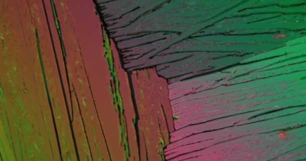 Cristalli Urea Colorati Luce Polarizzata Ruotano Microscopio — Video Stock