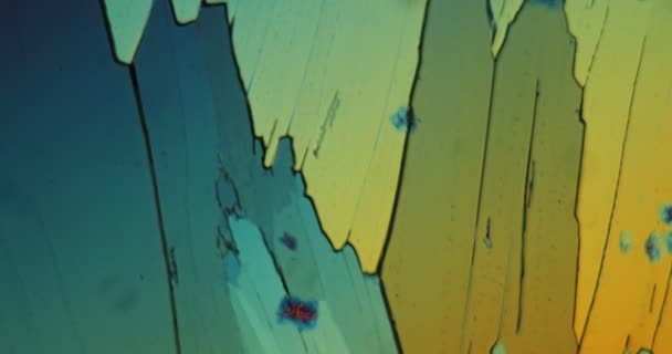 显微镜下偏振光旋转的彩色尿素晶体 — 图库视频影像