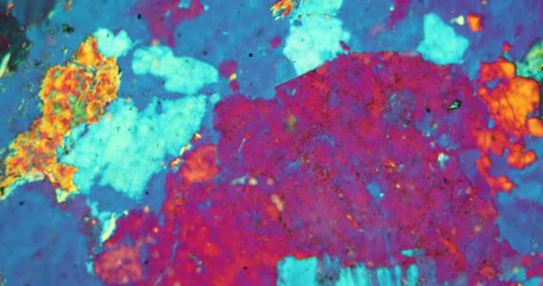 Gneiss Seção Fina Pedra Sob Microscópio Luz Polarizada — Vídeo de Stock