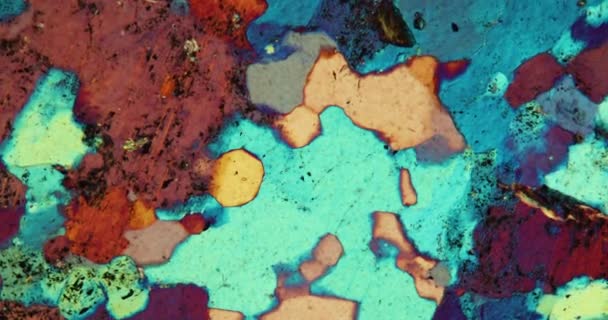 Gneiss Sección Delgada Piedra Bajo Microscopio Luz Polarizada — Vídeo de stock